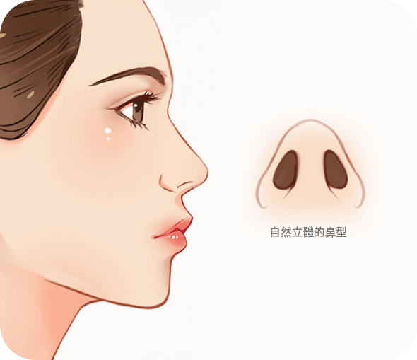自然立體的鼻型插圖女子側面