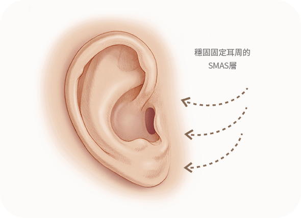 Diagram showing SMAS layer near ear